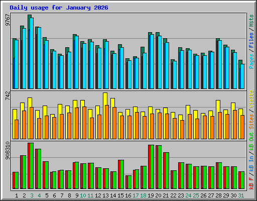 Daily usage for January 2026