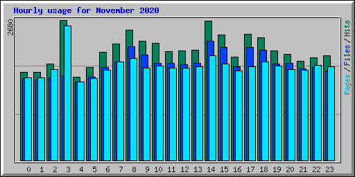 Hourly usage for November 2020