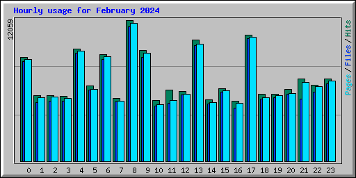 Hourly usage for February 2024