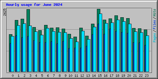 Hourly usage for June 2024