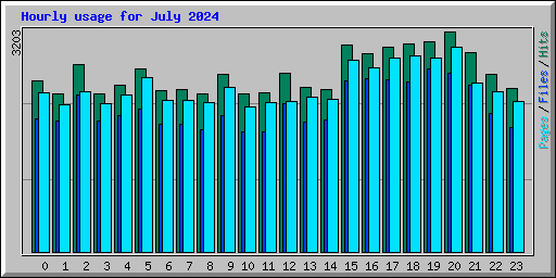Hourly usage for July 2024