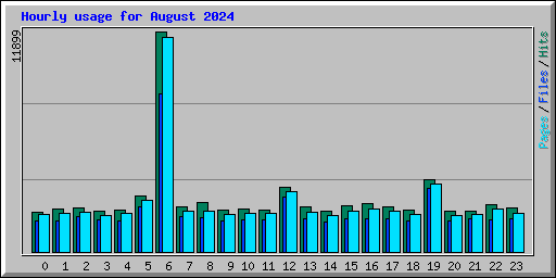 Hourly usage for August 2024