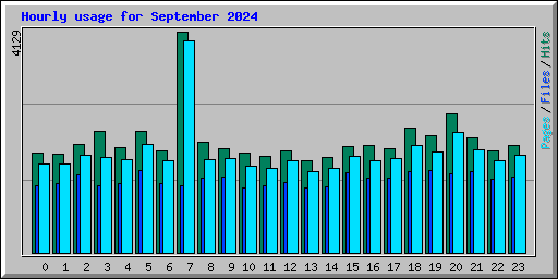 Hourly usage for September 2024