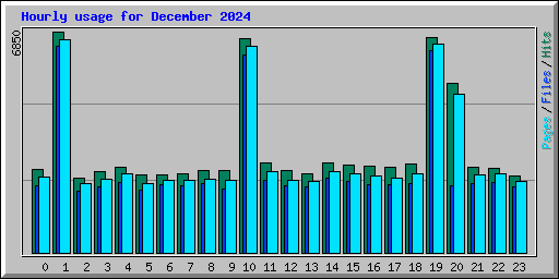 Hourly usage for December 2024