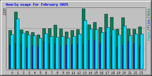 Hourly usage for February 2025