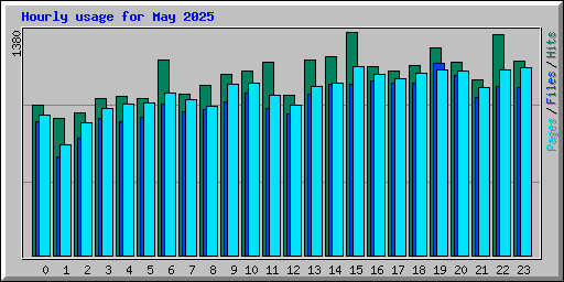 Hourly usage for May 2025