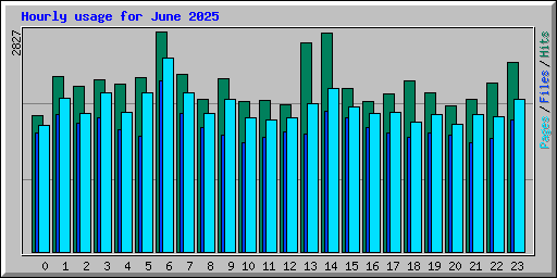 Hourly usage for June 2025