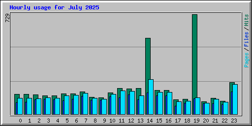 Hourly usage for July 2025