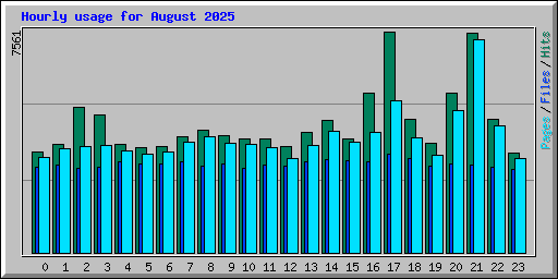 Hourly usage for August 2025