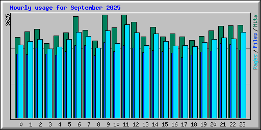 Hourly usage for September 2025