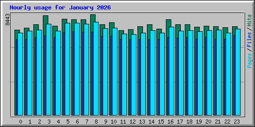Hourly usage for January 2026