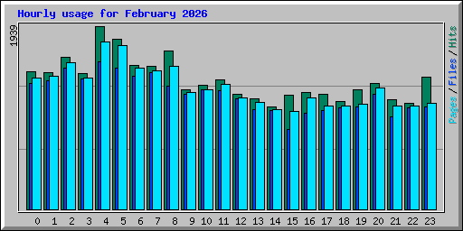 Hourly usage for February 2026
