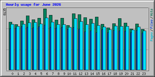Hourly usage for June 2026