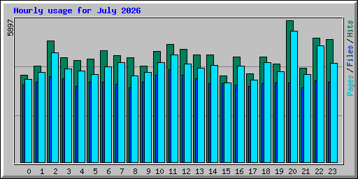 Hourly usage for July 2026